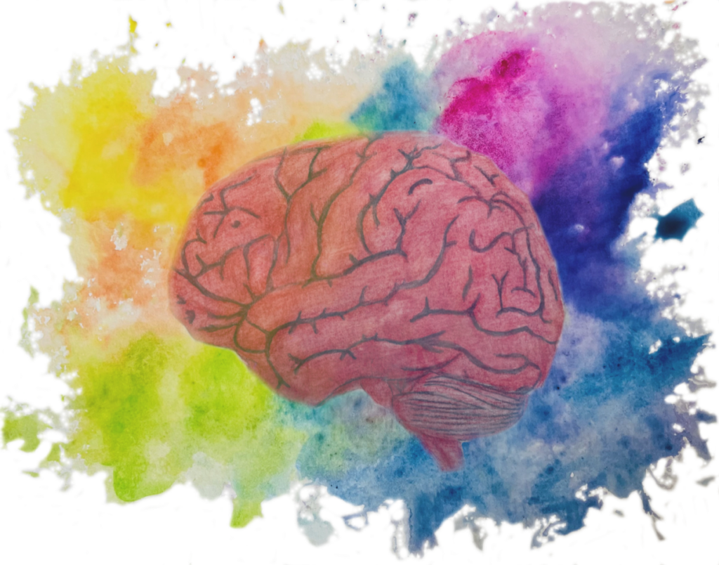 Praktijk Thalamus